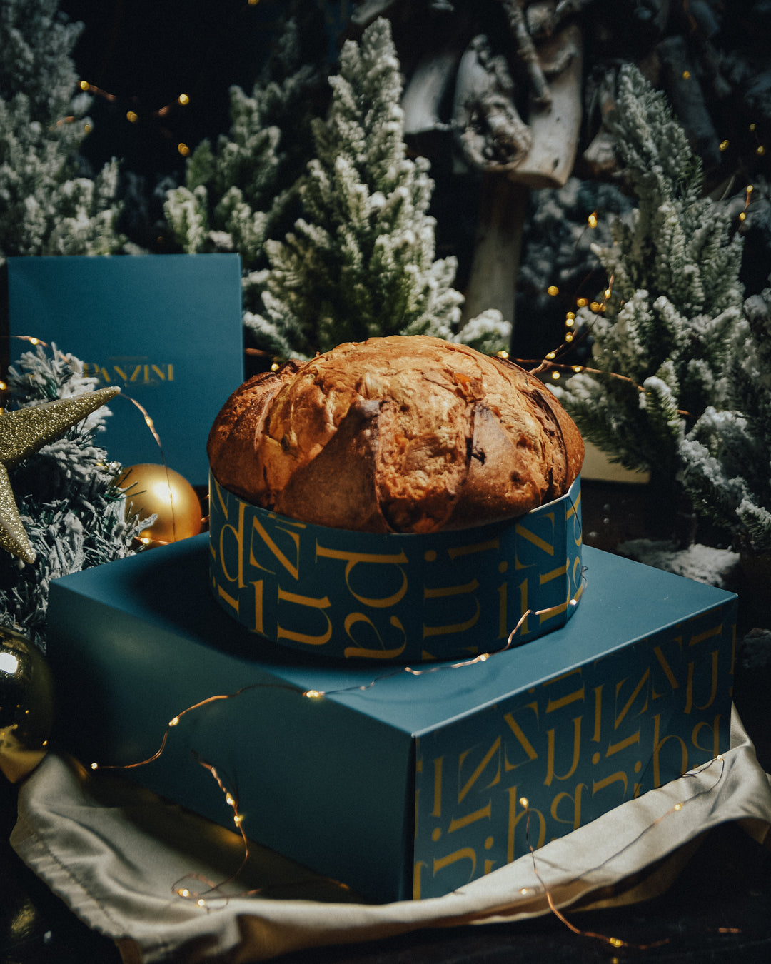 Il Panettone di Panzini